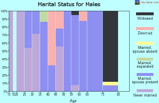 Zip code 72928 marital status for males