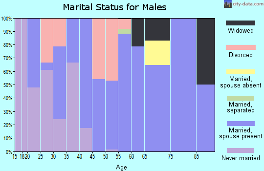 Zip code 72940 marital status for males