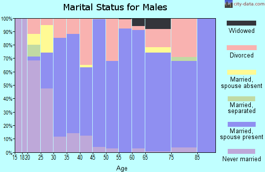 Zip code 72941 marital status for males