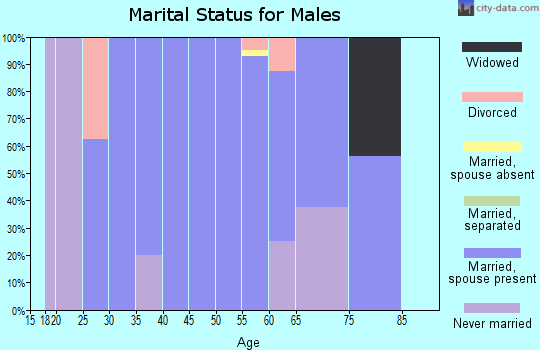 Zip code 72945 marital status for males