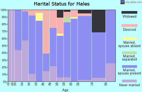 Zip code 73028 marital status for males