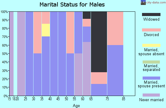 Zip code 73032 marital status for males