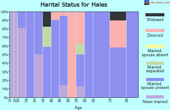 Zip code 73033 marital status for males