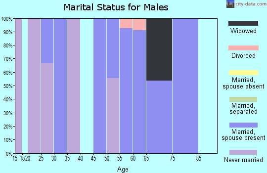 Zip code 73041 marital status for males