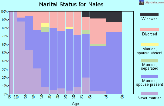 Zip code 73049 marital status for males