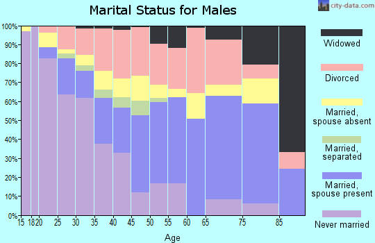 Zip code 73051 marital status for males