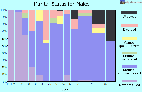 Zip code 73052 marital status for males