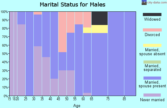 Zip code 73053 marital status for males