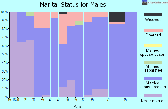 Zip code 73054 marital status for males