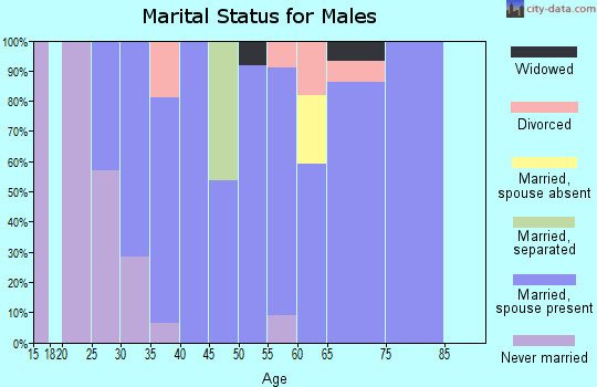 Zip code 73056 marital status for males