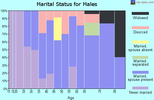 Zip code 73062 marital status for males