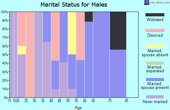 Zip code 73063 marital status for males