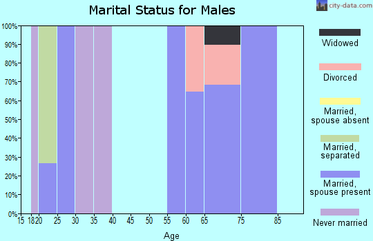 Zip code 73066 marital status for males