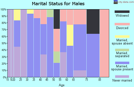 Zip code 73073 marital status for males