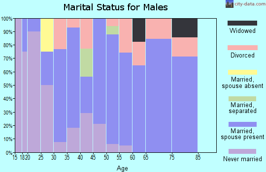 Zip code 73074 marital status for males