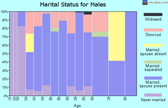 Zip code 73078 marital status for males