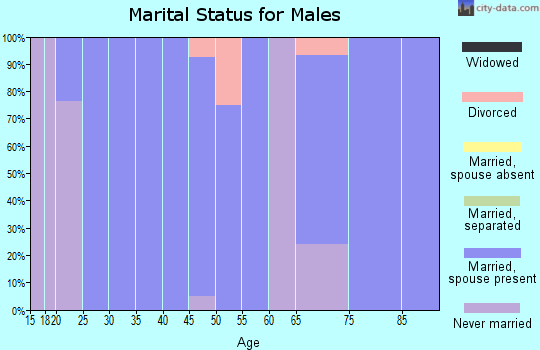 Zip code 73079 marital status for males