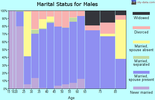 Zip code 73080 marital status for males