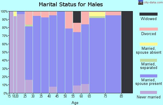 Zip code 73093 marital status for males