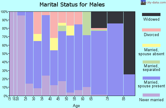 Zip code 73095 marital status for males