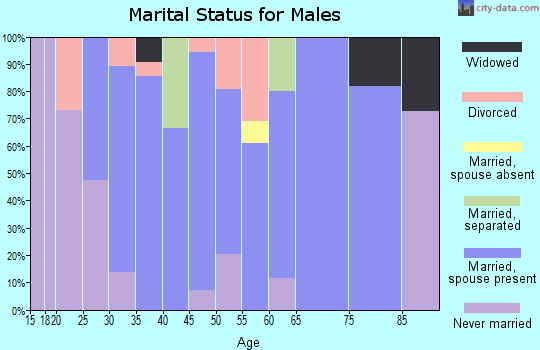 Zip code 73128 marital status for males