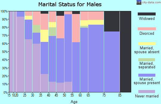 Zip code 73131 marital status for males