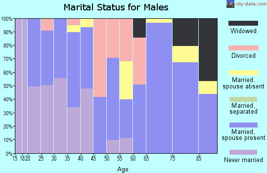 Zip code 73134 marital status for males
