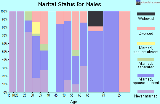 Zip code 73141 marital status for males