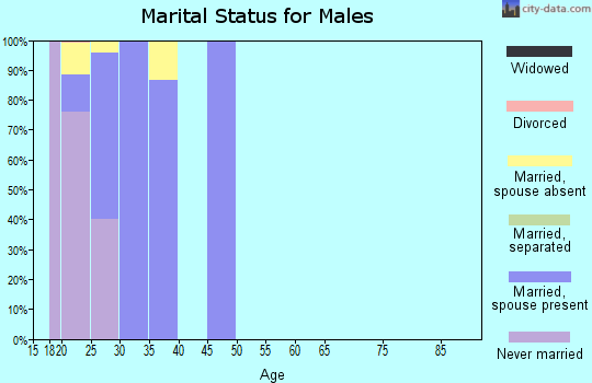 Zip code 73145 marital status for males