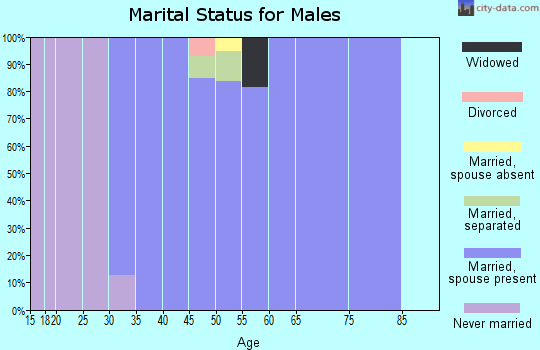 Zip code 73151 marital status for males