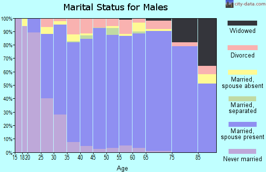 Zip code 73170 marital status for males