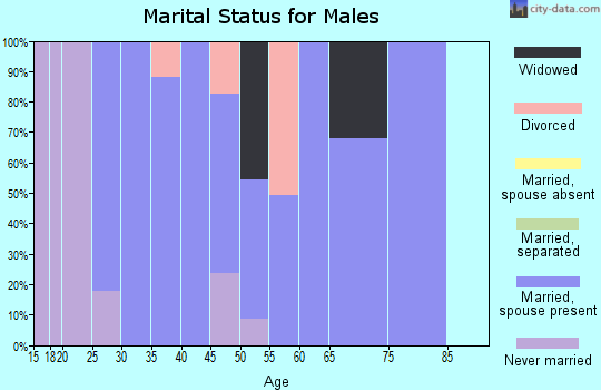 Zip code 73173 marital status for males