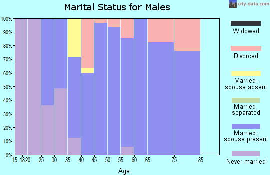 Zip code 73179 marital status for males
