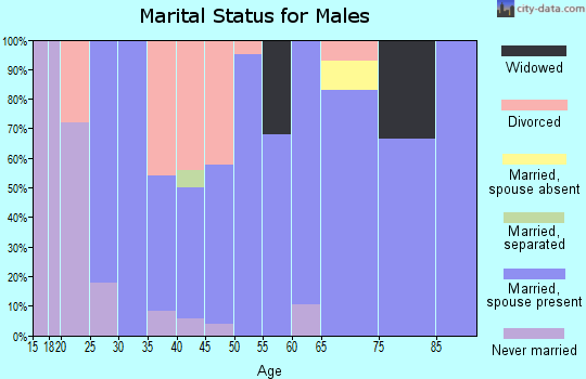 Zip code 73432 marital status for males
