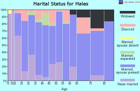 Zip code 73433 marital status for males