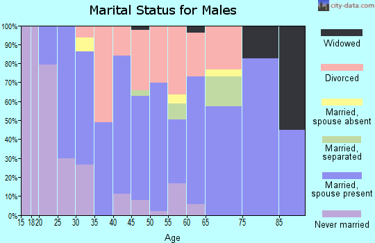 Zip code 73438 marital status for males