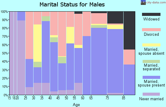 Zip code 73439 marital status for males