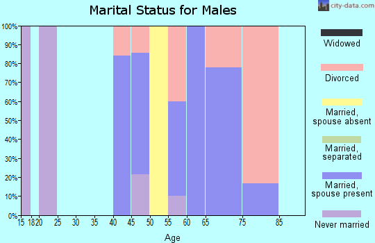 Zip code 73441 marital status for males