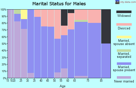 Zip code 73447 marital status for males