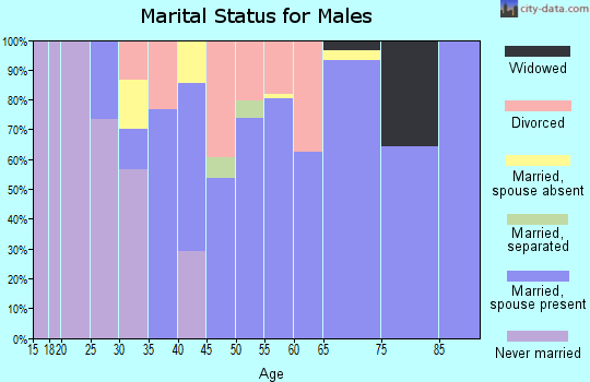 Zip code 73450 marital status for males