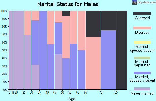 Zip code 73455 marital status for males