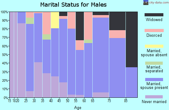 Zip code 73456 marital status for males