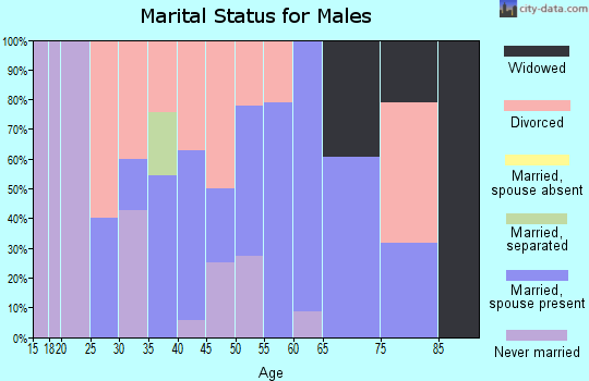 Zip code 73458 marital status for males