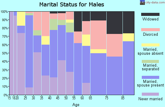 Zip code 73460 marital status for males
