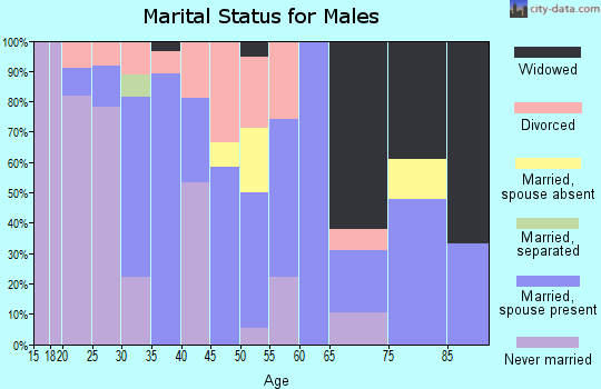 Zip code 73461 marital status for males