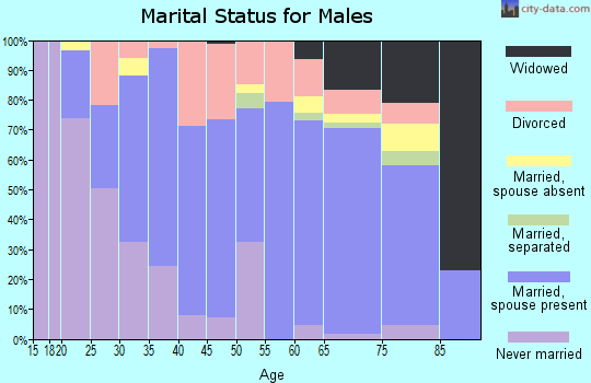 Zip code 73463 marital status for males