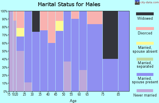 Zip code 73491 marital status for males