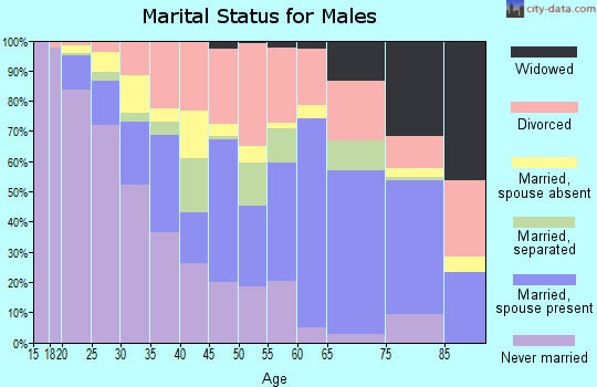 Zip code 73501 marital status for males
