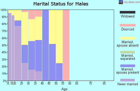 Zip code 73503 marital status for males