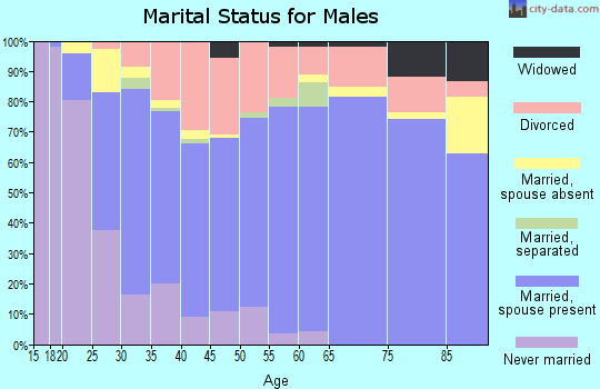 Zip code 73521 marital status for males